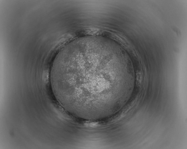 X0000114080602200910191544