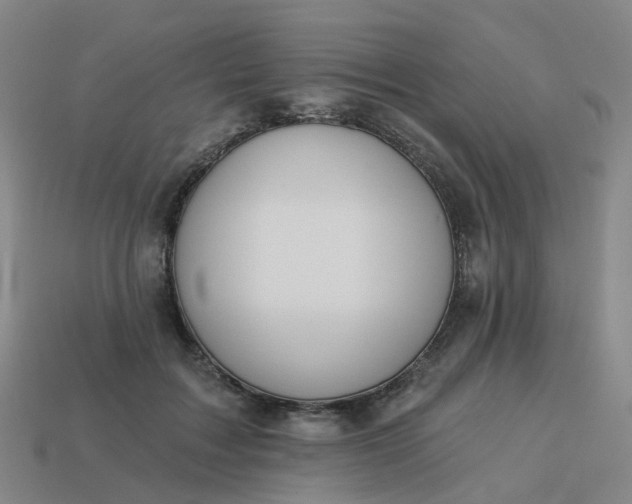 X0000114080603200910191544