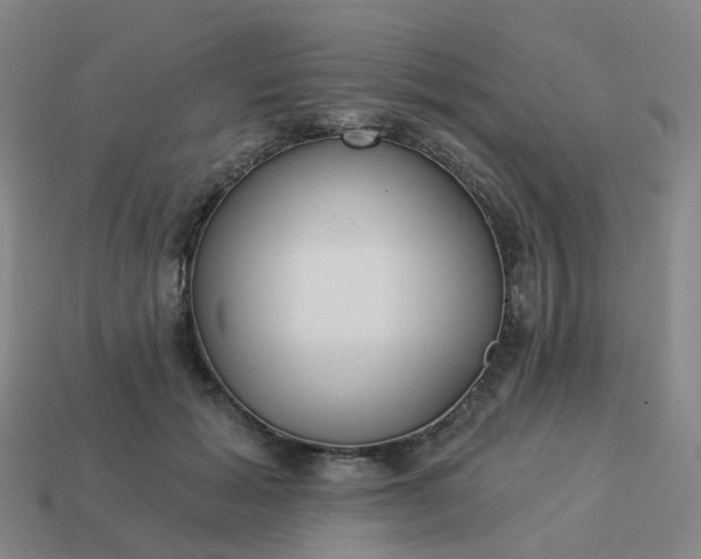 X0000114080605200910191544