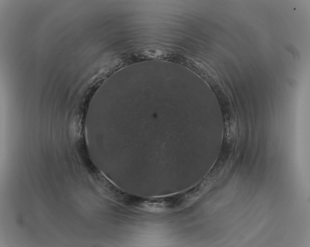 X0000114080606200910191544