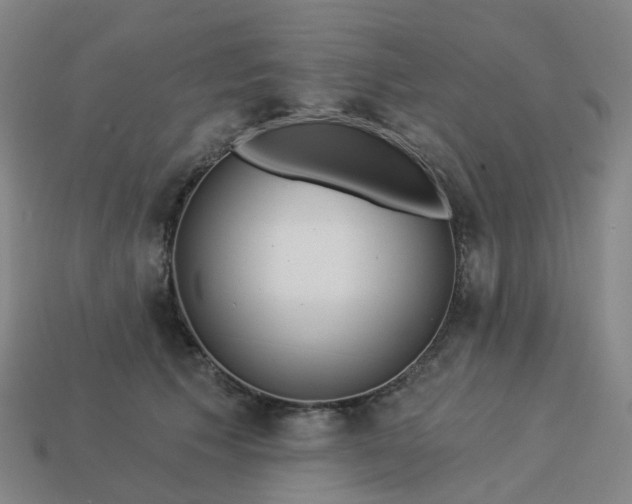 X0000114080609200910191544