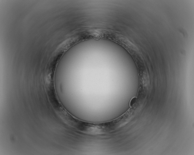 X0000114080611200910191544