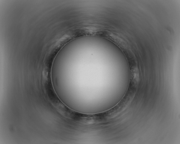 X0000114080615200910191544