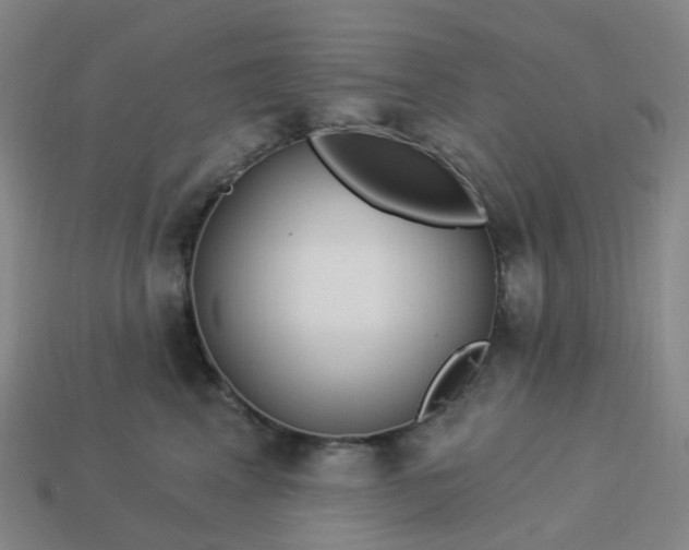 X0000114080617200910191543