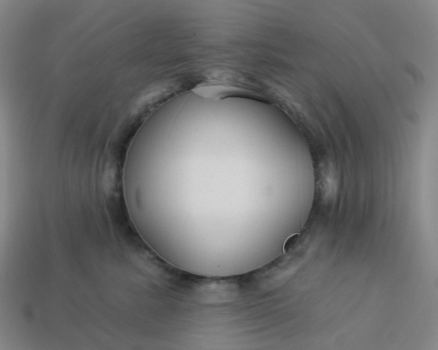 X0000114080619200910191543