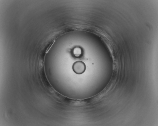 X0000114080621200910191543