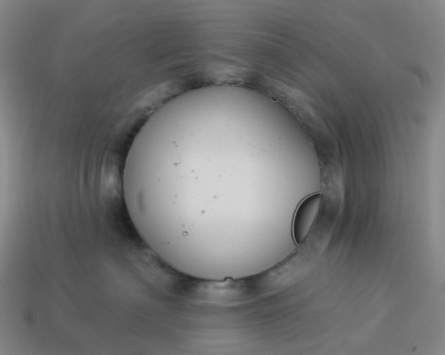 X0000114080622200910191543