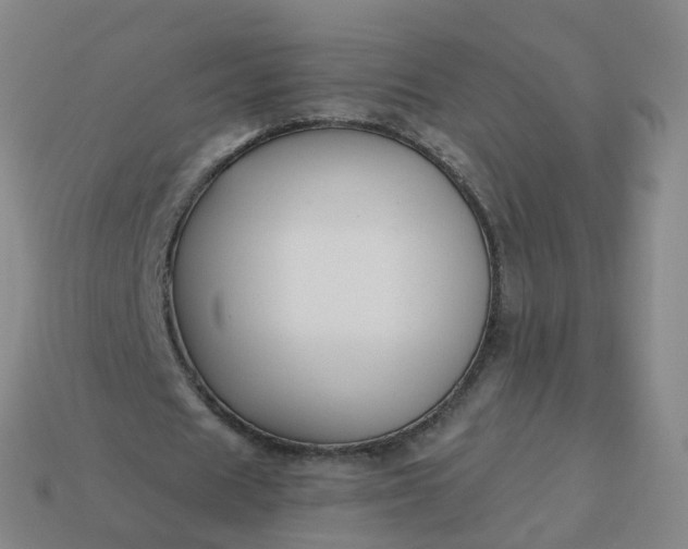 X0000114080625200910191543