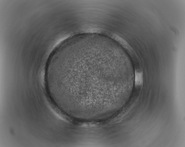 X0000114080627200910191543