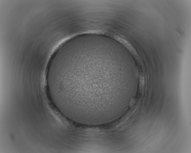 X0000114080628200910191543