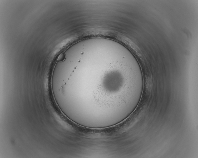 X0000114080629200910191543