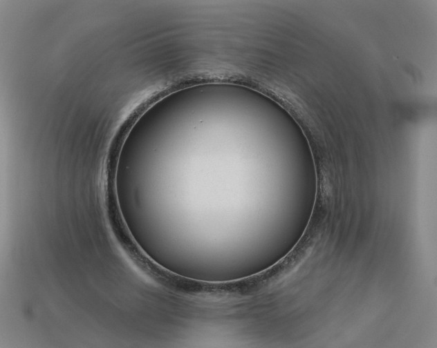 X0000114080630200910191543