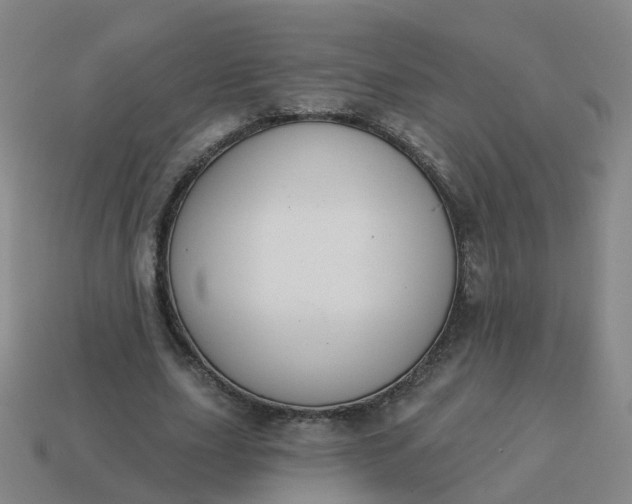 X0000114080631200910191543