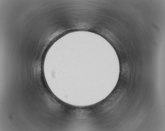 X0000114080632200910191543