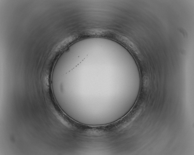 X0000114080633200910191543