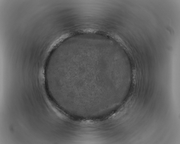 X0000114080634200910191543