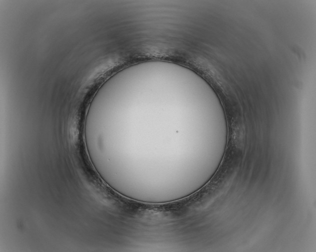 X0000114080635200910191543