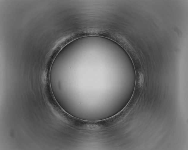 X0000114080636200910191543