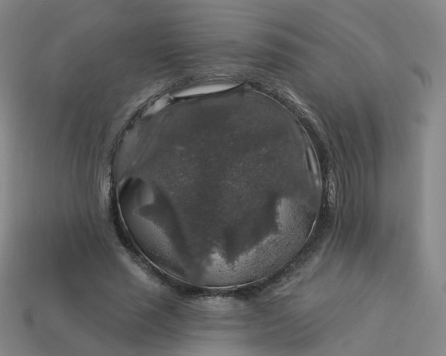 X0000114080637200910191543