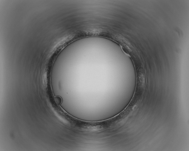 X0000114080638200910191543