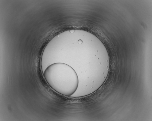 X0000114080639200910191543