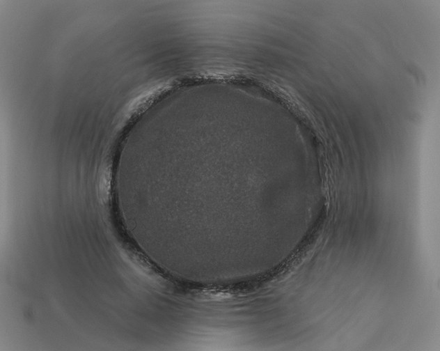 X0000114080640200910191543