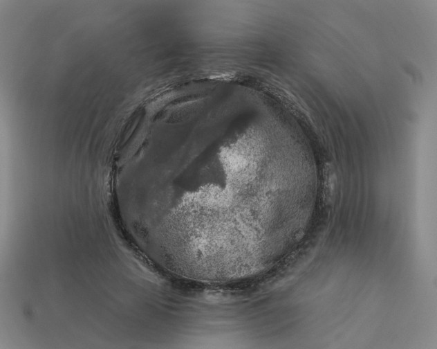 X0000114080641200910191543