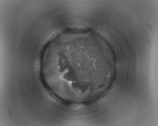 X0000114080642200910191543