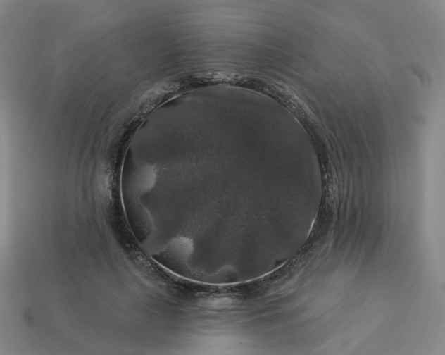 X0000114080643200910191543