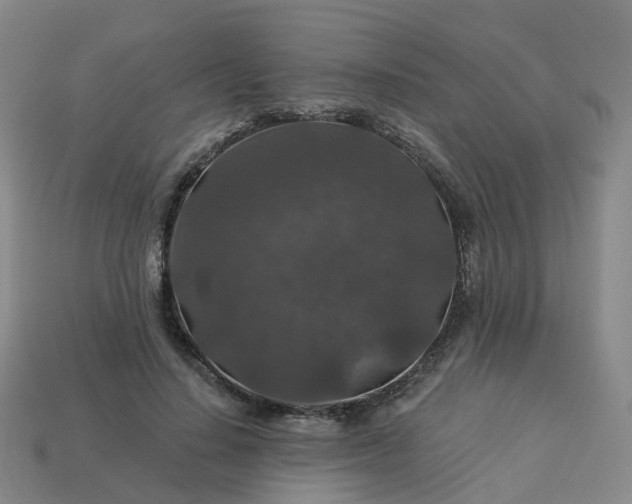 X0000114080644200910191543