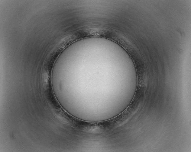 X0000114080646200910191543