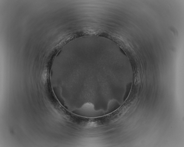 X0000114080647200910191543