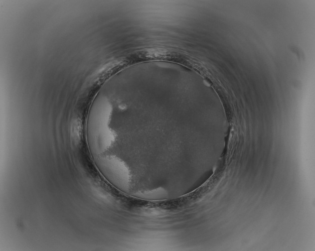 X0000114080648200910191543