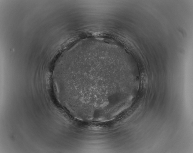 X0000114080650200910191543