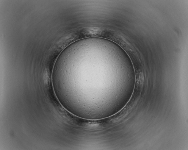 X0000114080651200910191543