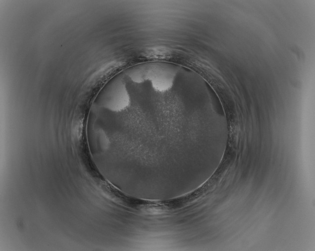 X0000114080652200910191543