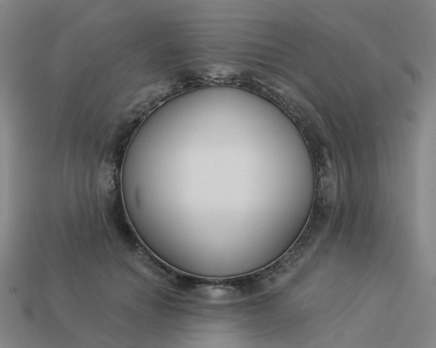 X0000114080654200910191543