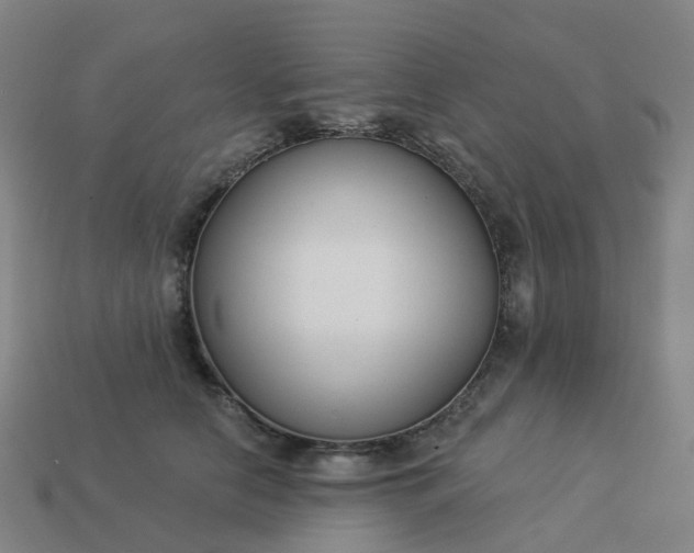 X0000114080658200910191543