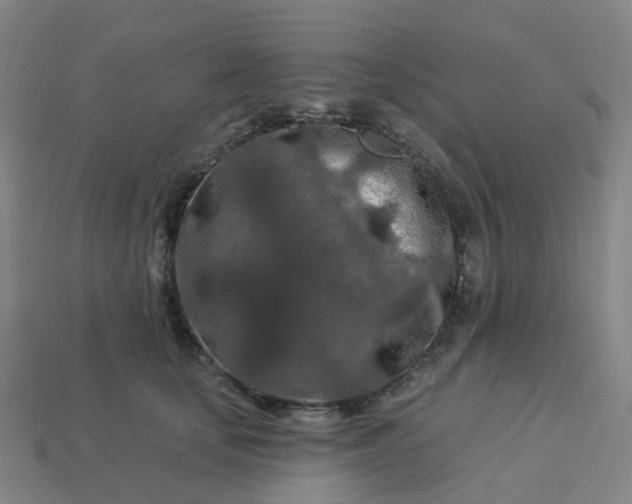 X0000114080659200910191543