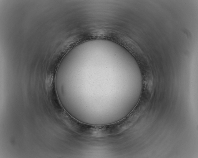 X0000114080660200910191543