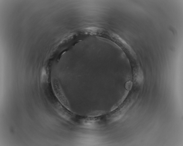 X0000114080661200910191543