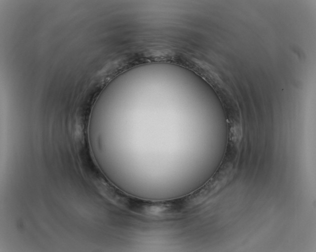 X0000114080662200910191543