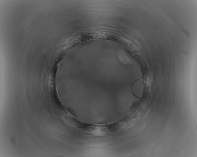 X0000114080663200910191543