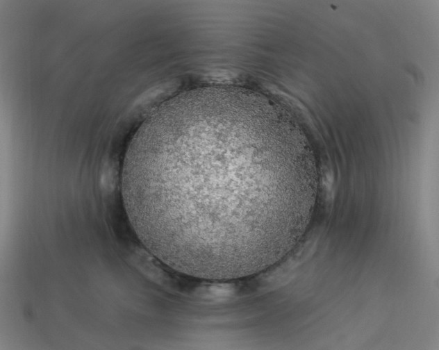 X0000114080665200910191543