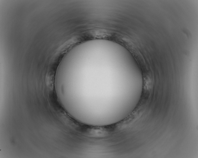 X0000114080666200910191543