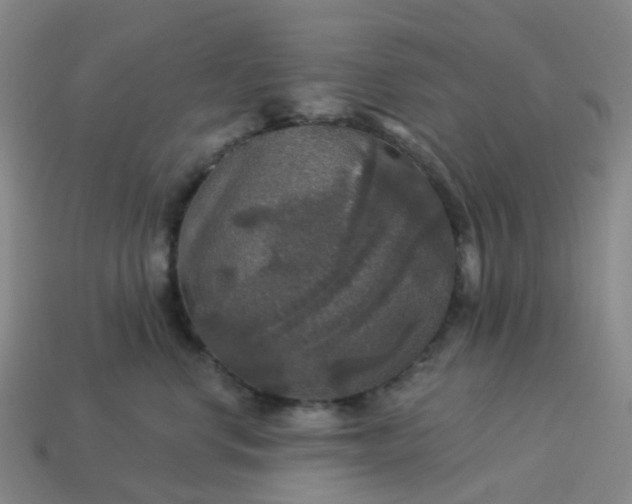 X0000114080668200910191543