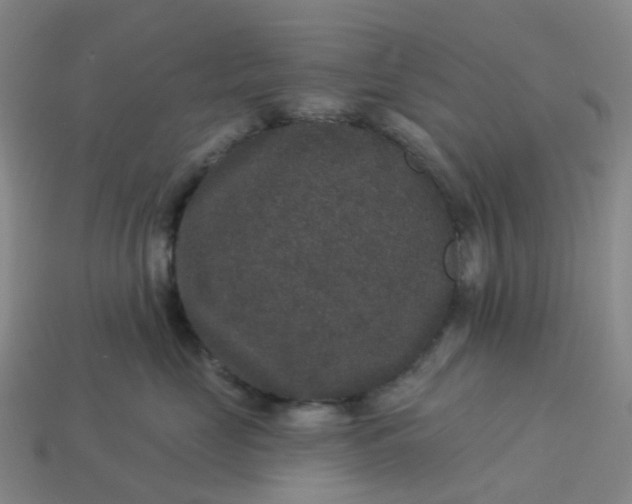 X0000114080669200910191543