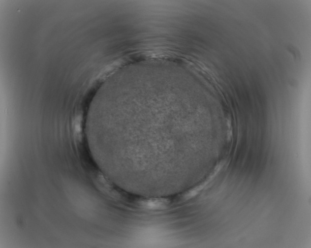 X0000114080670200910191543