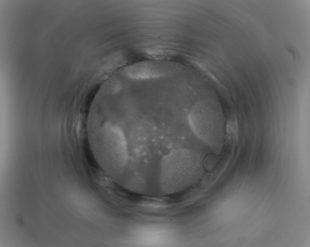 X0000114080671200910191543