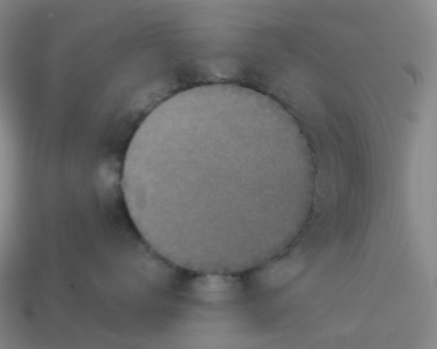 X0000114080672200910191543